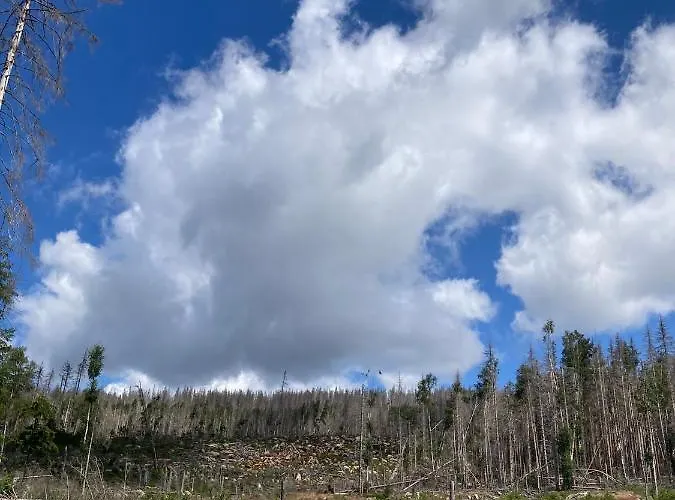 Ferienhaus Wendenburg Blankenburg (Harz)
