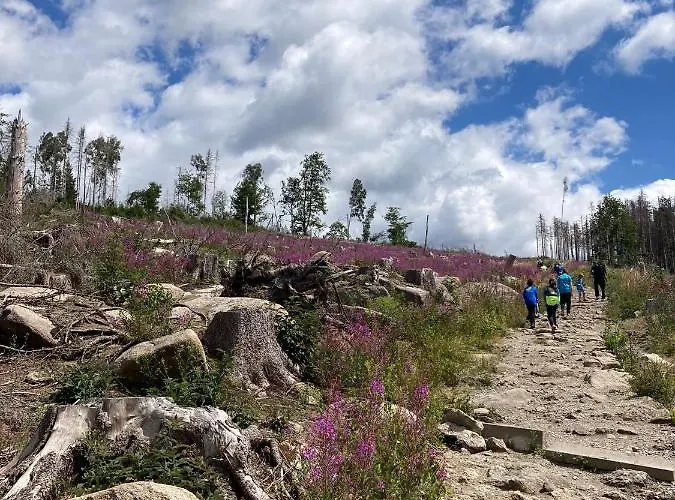 Wendenburg * Blankenburg (Harz)